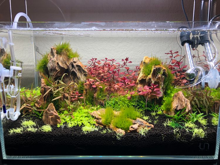 Aquascape Nano Aquarium