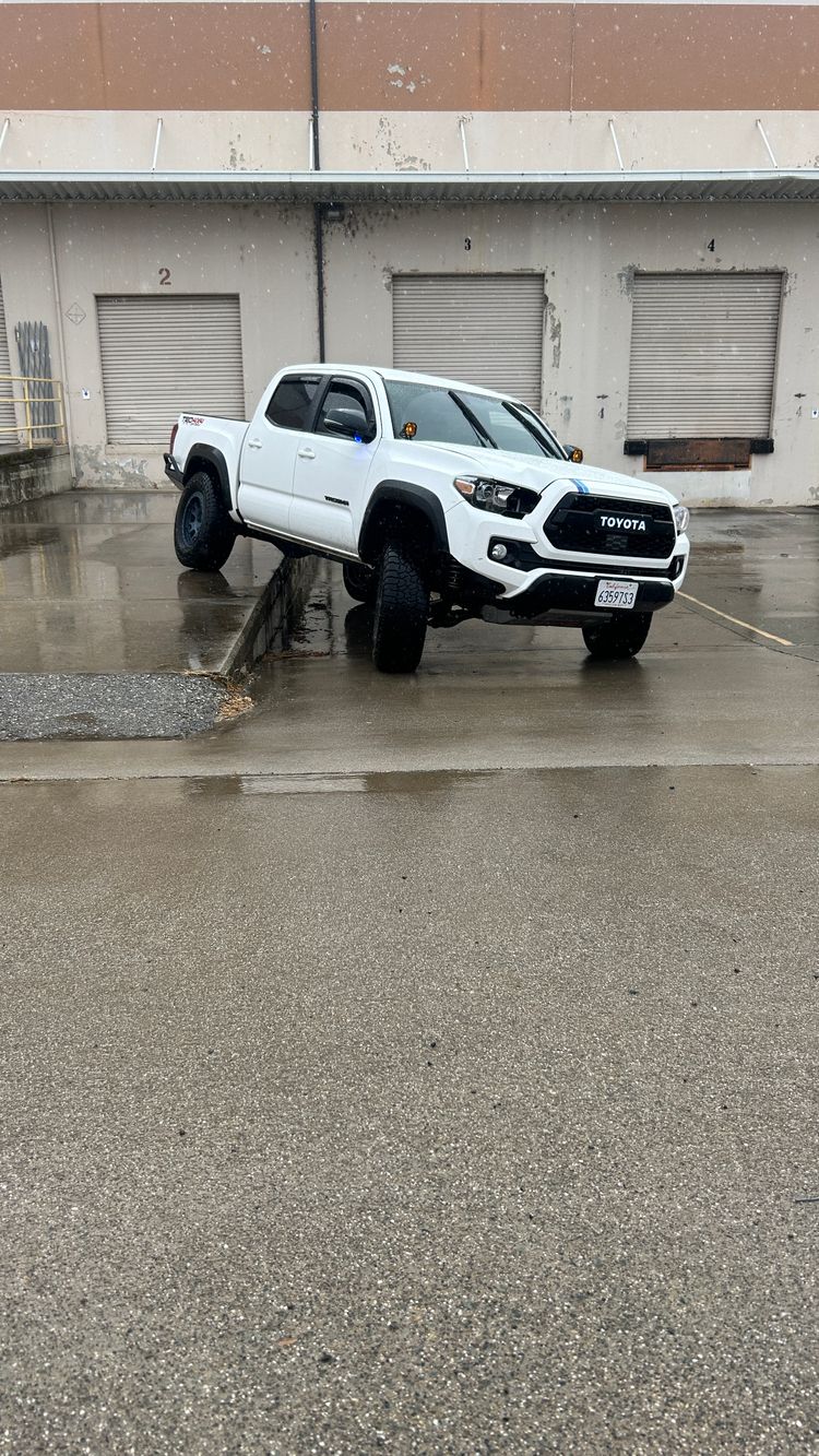 The Taco