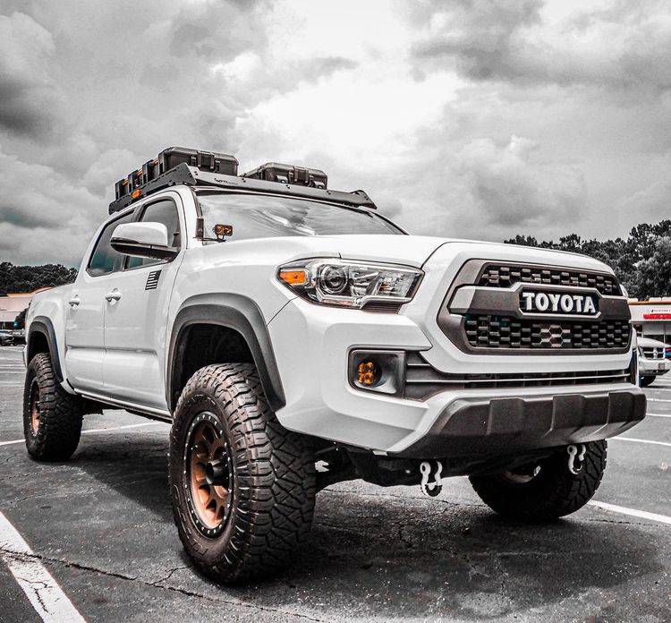 @beardedtacoma