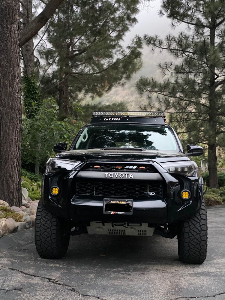 robs_TRD