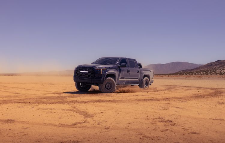 Stoic Muzzleops Tundra
