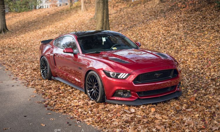 Ruby Red Mustang GT
