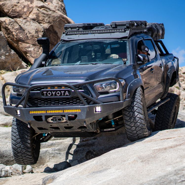 TACO.HOG