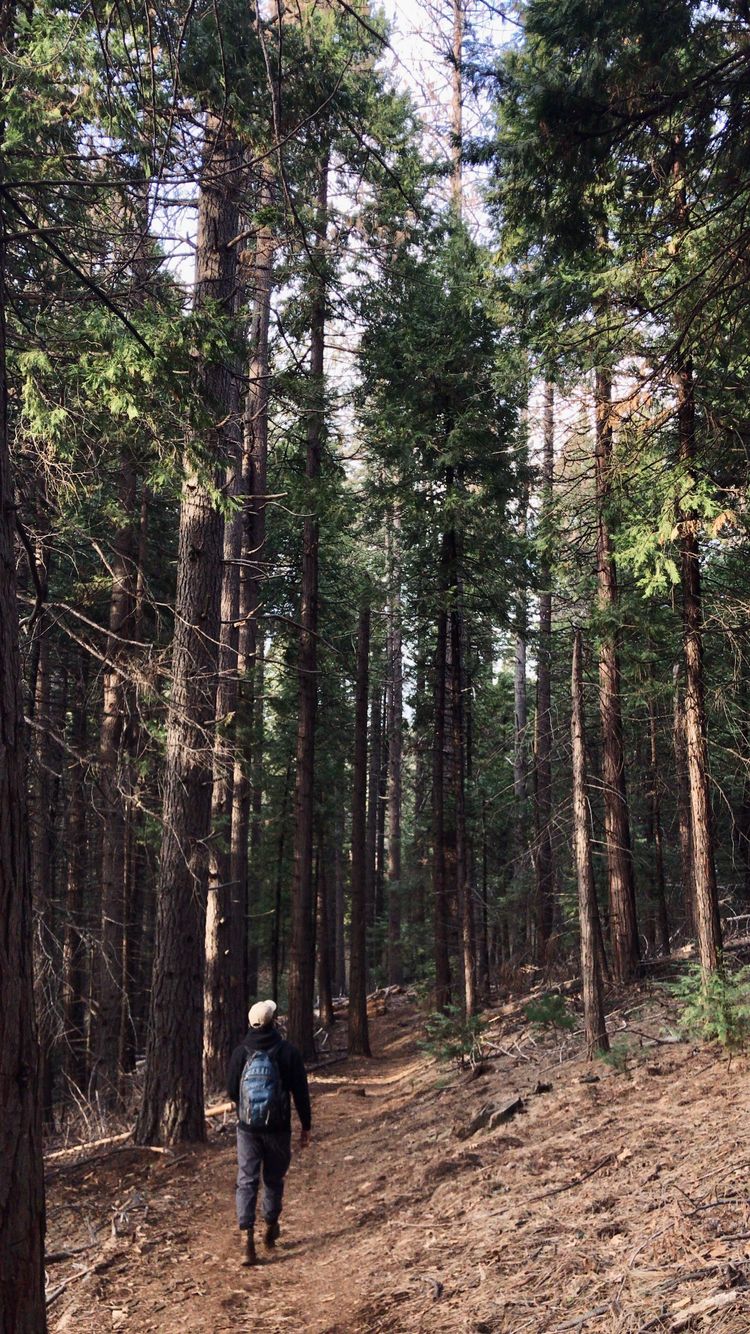 Camping Gear Wishlist