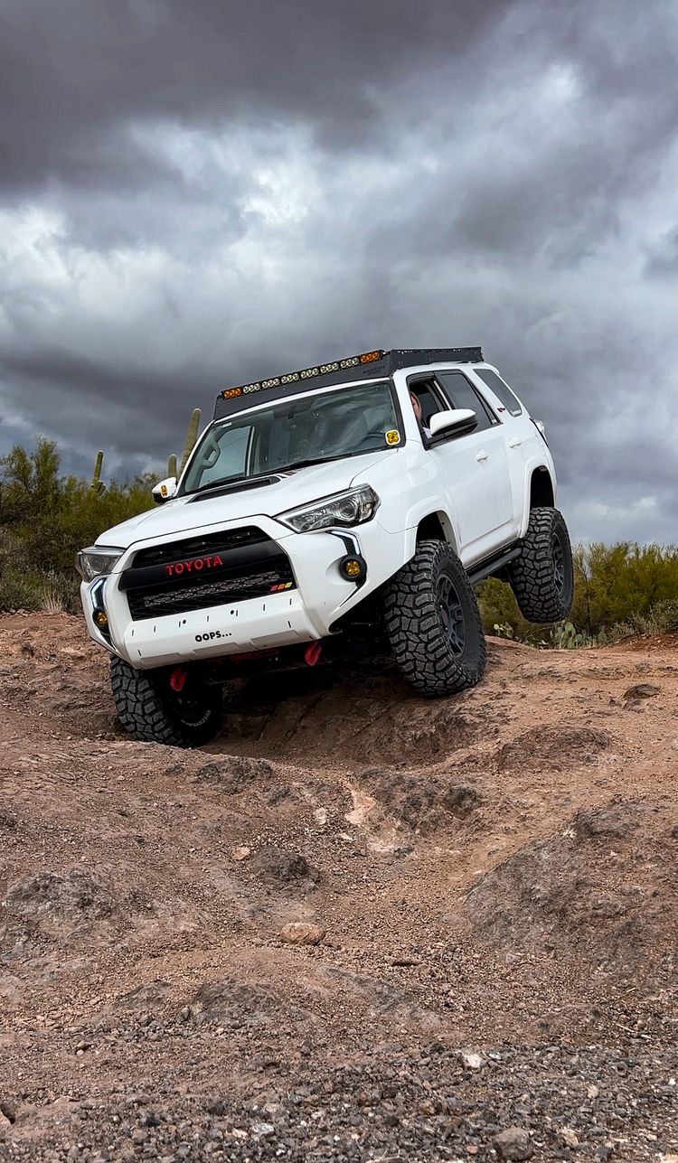 Sugar on the Rocks / Driver: Maida McNeil