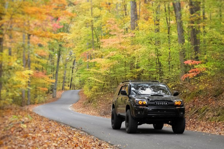 2009 Toyota 4Runner Sport Edition v6 4x4