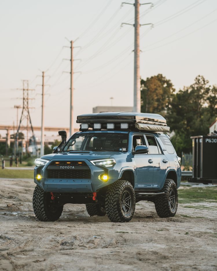 That_cavalry_trd