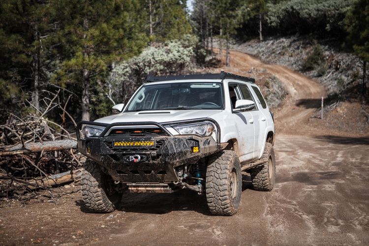 @snow_trd