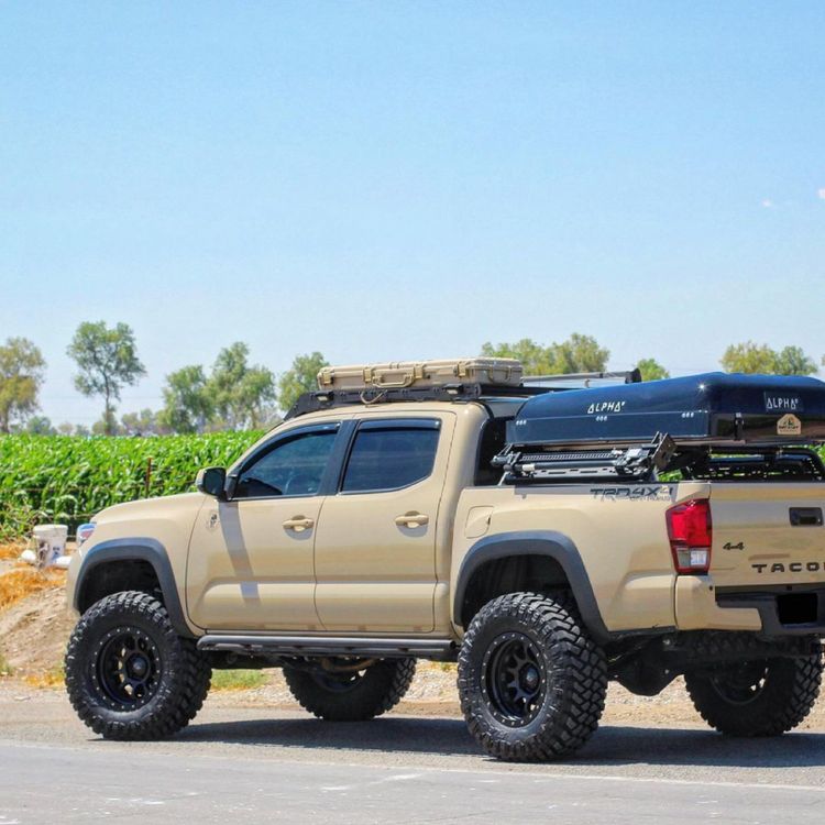 Taco